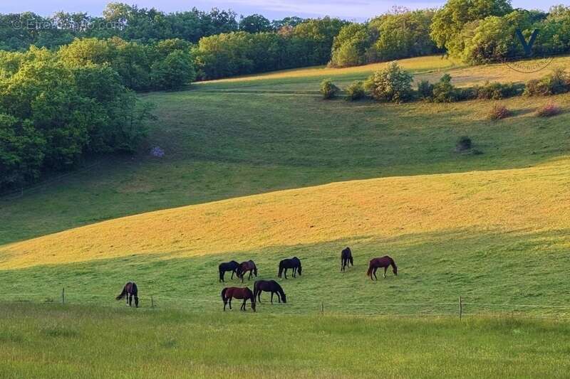 Maison à TOURNON-D&#039;AGENAIS