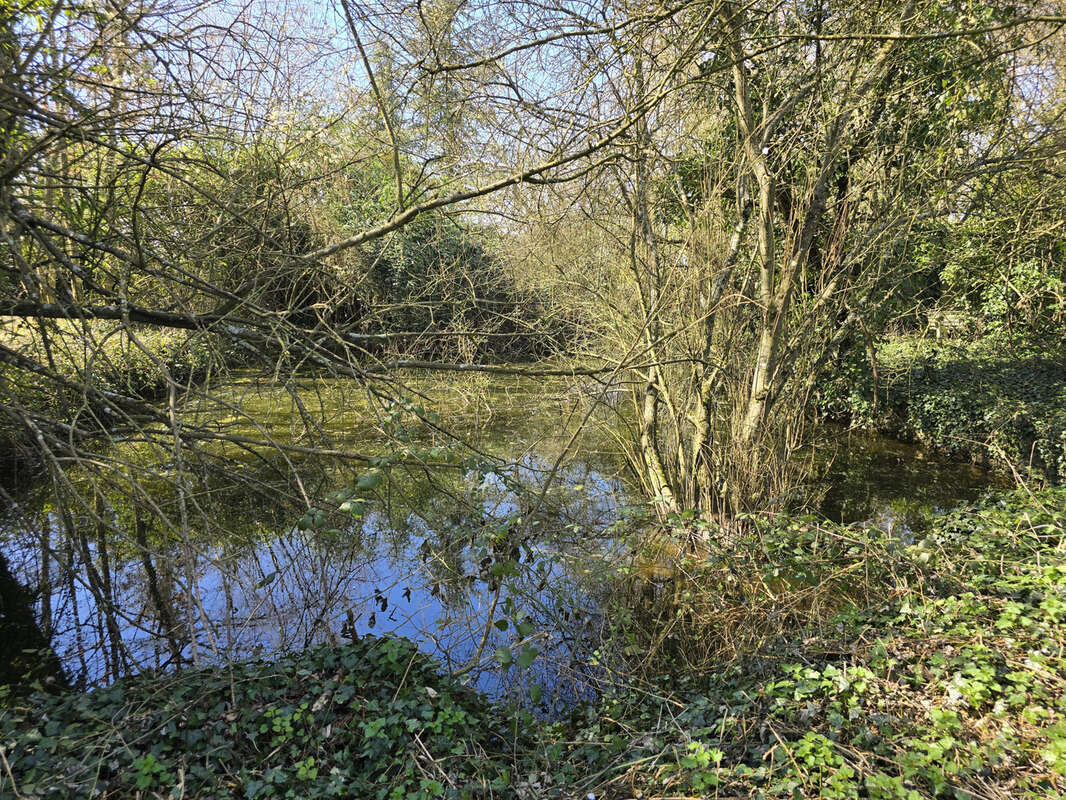 Maison à BETON-BAZOCHES