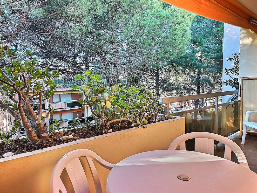 Appartement à BORMES-LES-MIMOSAS