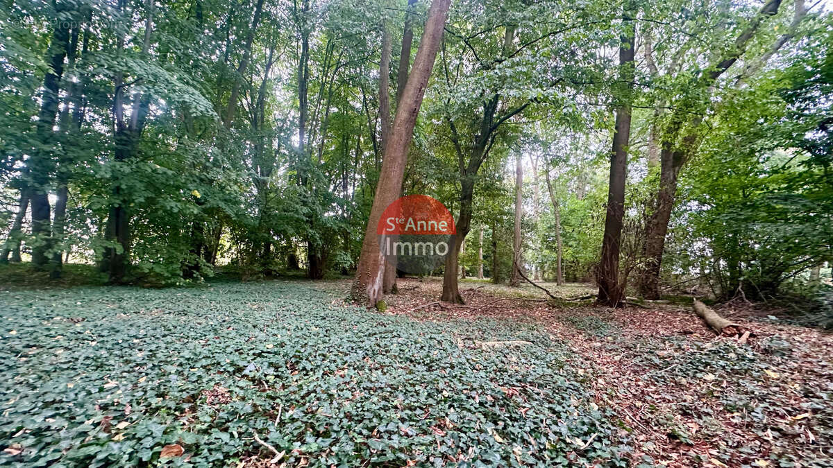 Maison à FLERS-SUR-NOYE