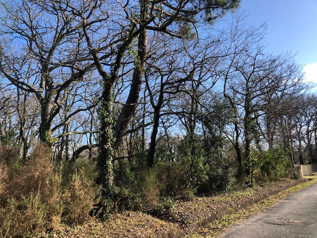 Terrain à GRAYAN-ET-L'HOPITAL