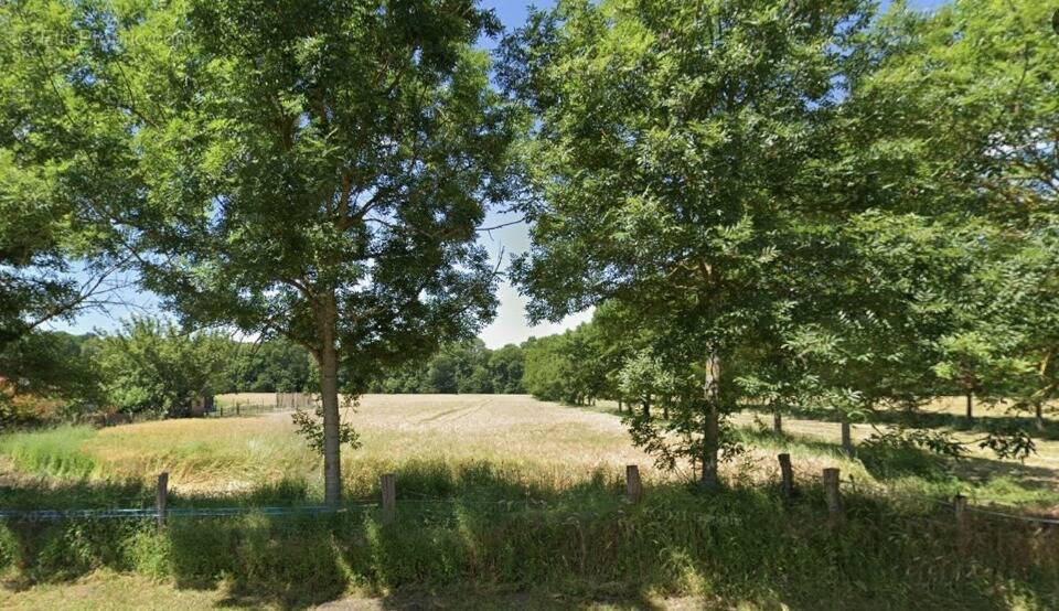 Terrain à NANTOUILLET