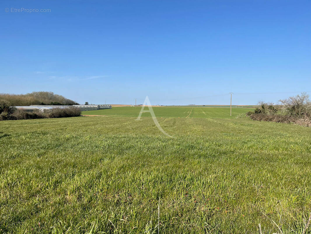 Terrain à MONTREUIL