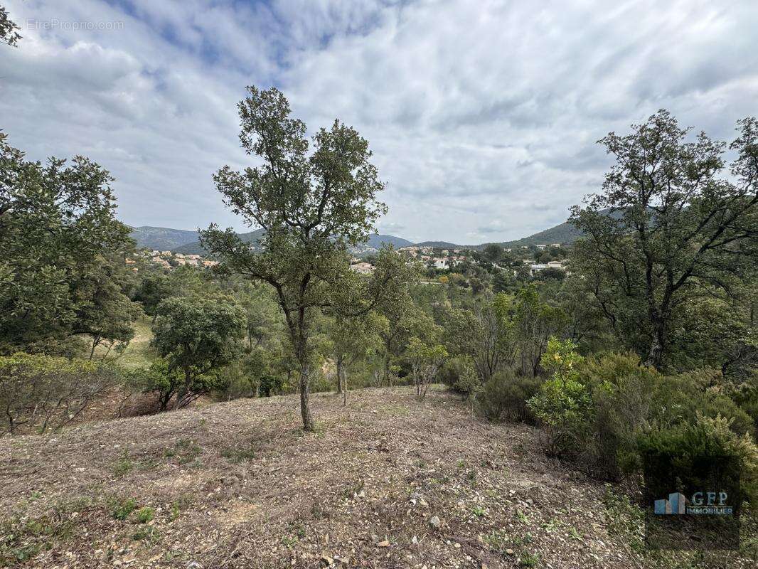 Terrain à LA LONDE-LES-MAURES
