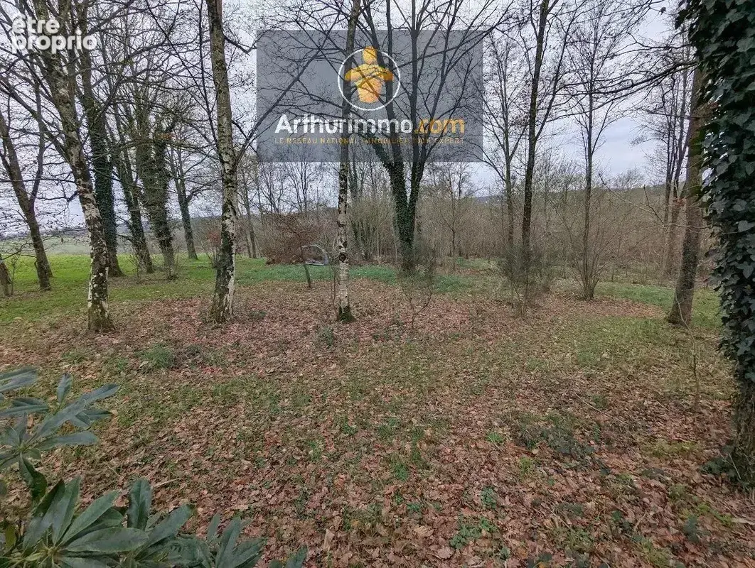 Vente Terrain Taupont(56800) 24 000ï¿œ - photo 9