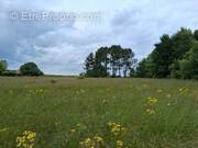 Terrain à BOSSET