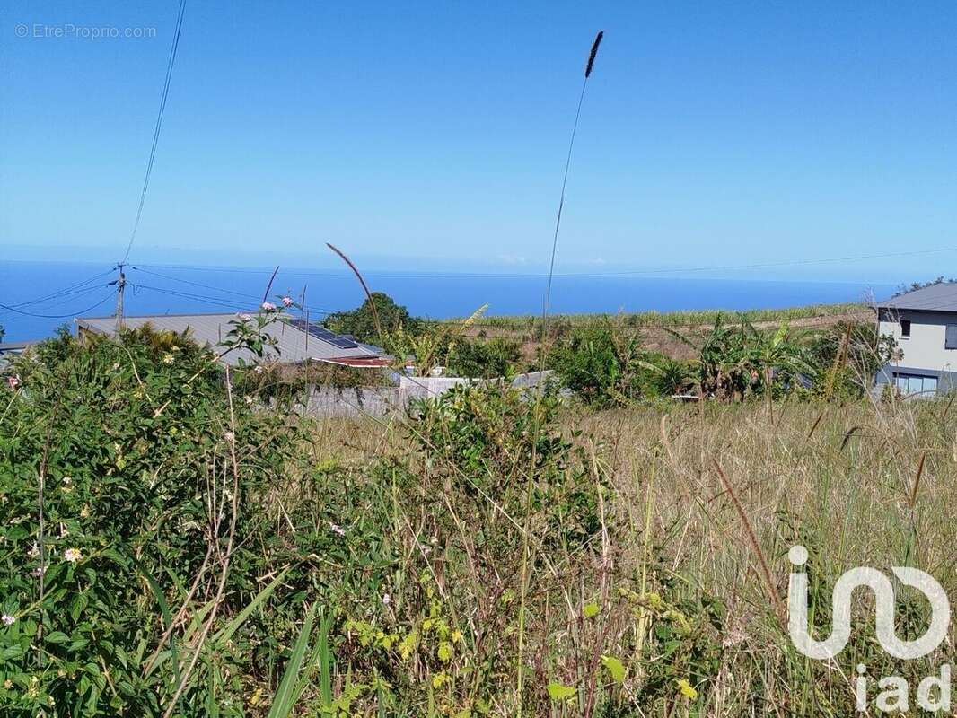 Photo 3 - Terrain à SAINT-JOSEPH