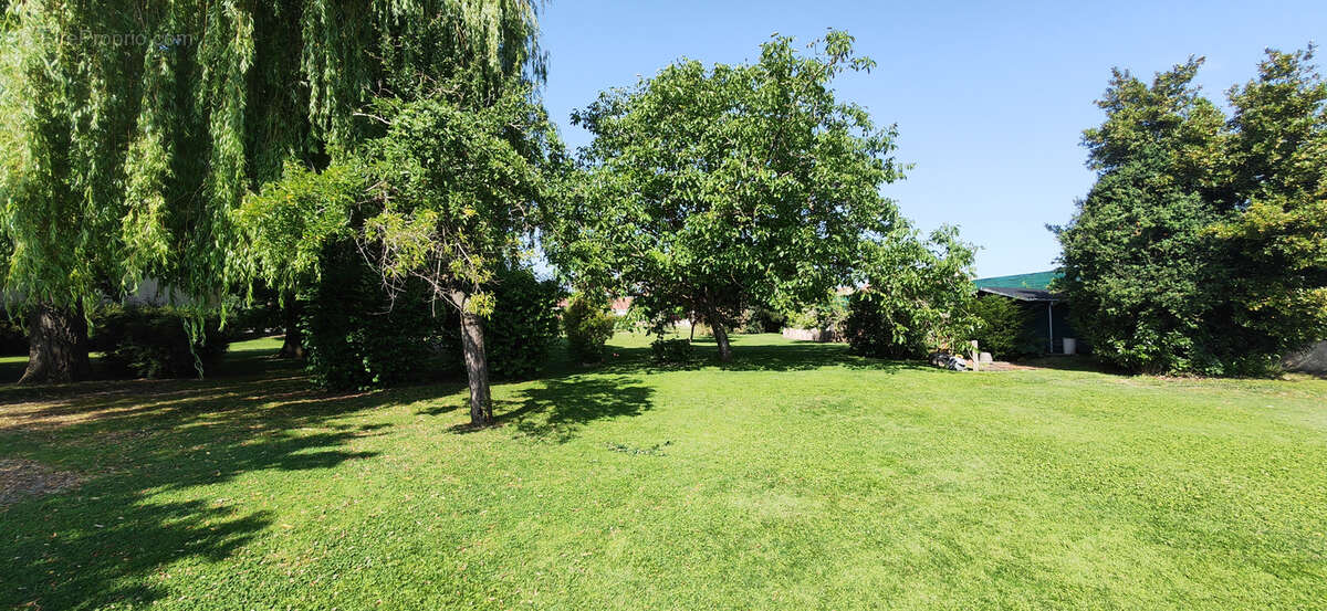 Villa - parc - piscine et dependances - photo 13