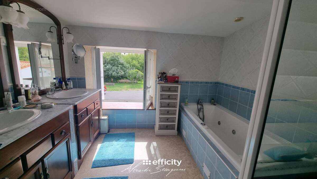 Maison à FAYE-SUR-ARDIN