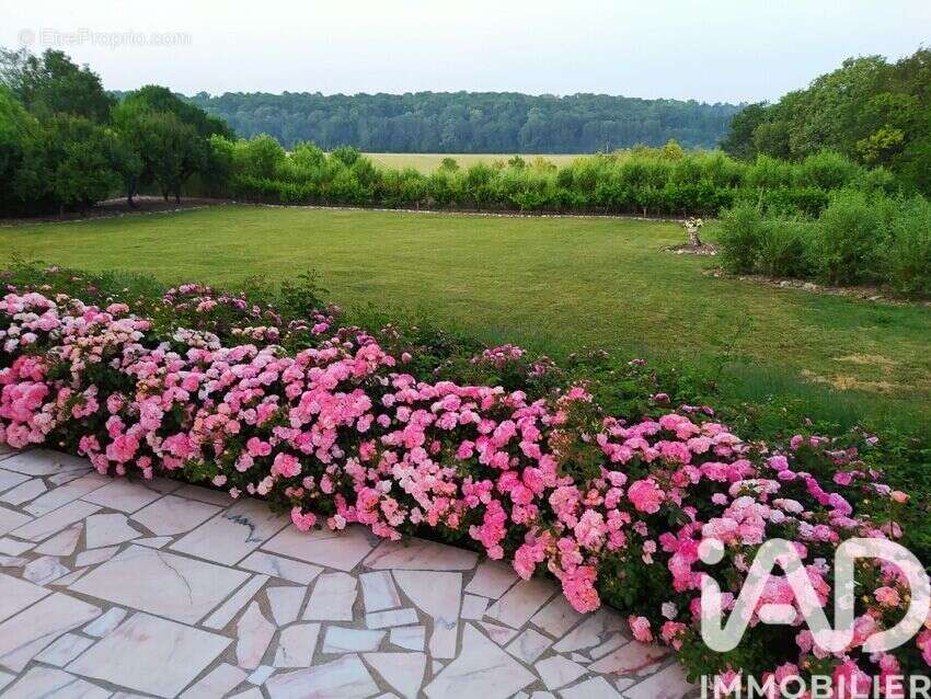 Photo 4 - Maison à SOIGNOLLES-EN-BRIE