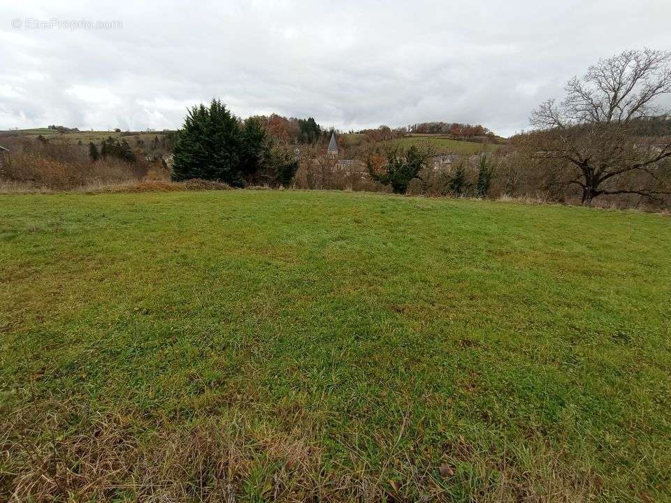 Terrain à FERRIERES-SUR-SICHON