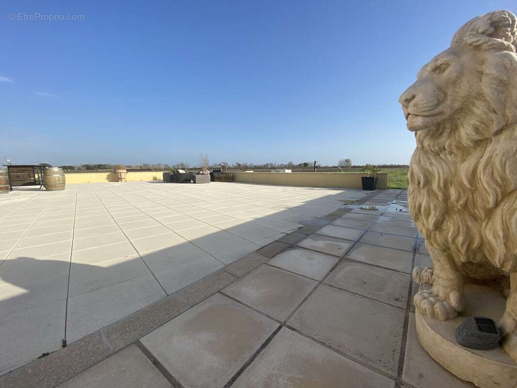 Maison à SAINT-LAURENT-D'AIGOUZE