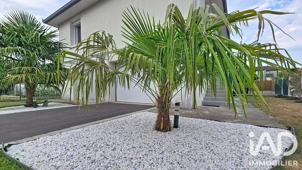 Photo 2 - Maison à ODOS