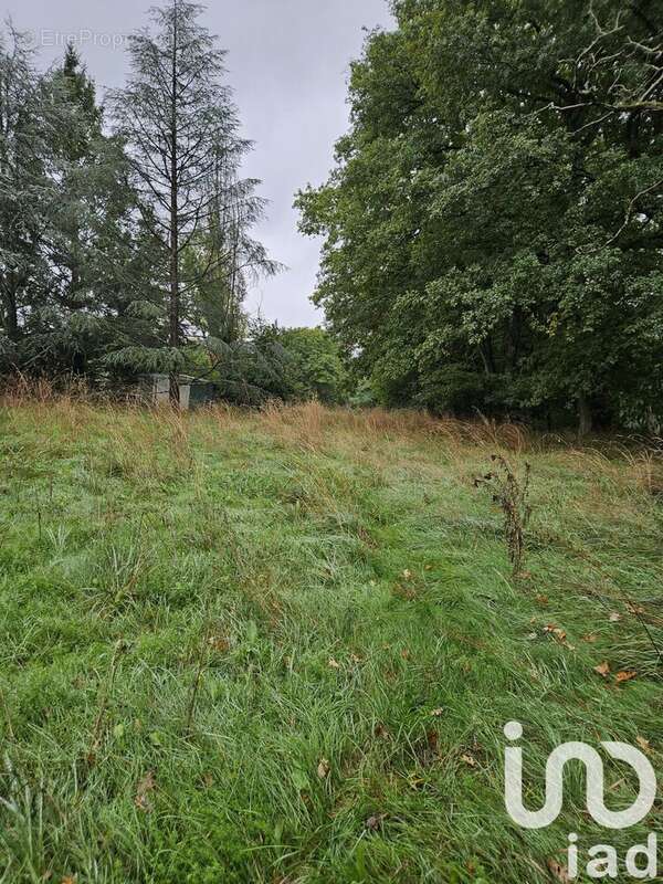Photo 6 - Terrain à VILLENEUVE-SUR-YONNE