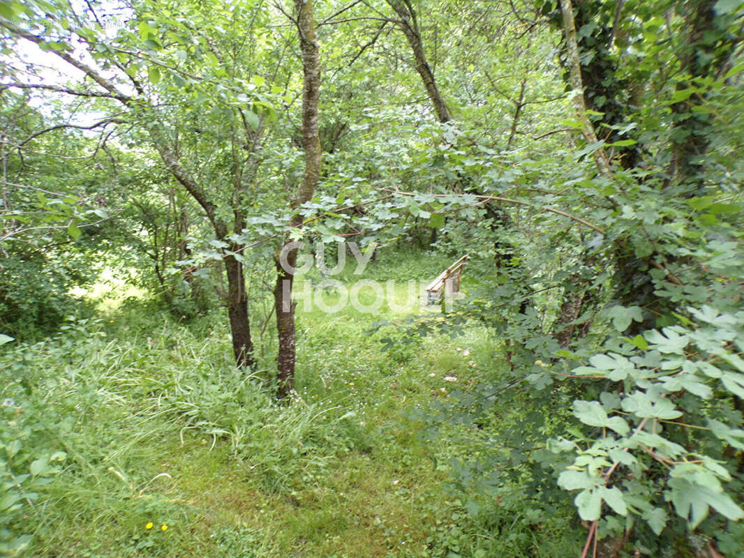 Maison atypique sur 5000 m² de terrain - photo 12