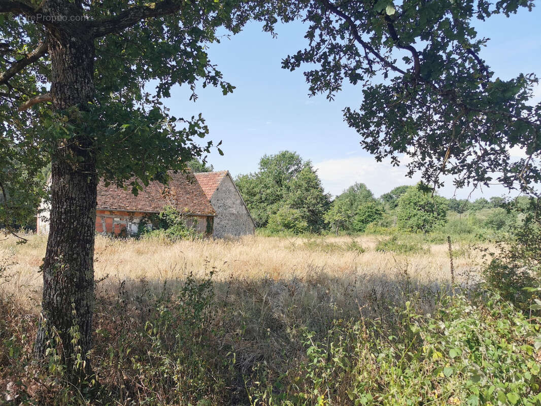 Maison à LOREUX