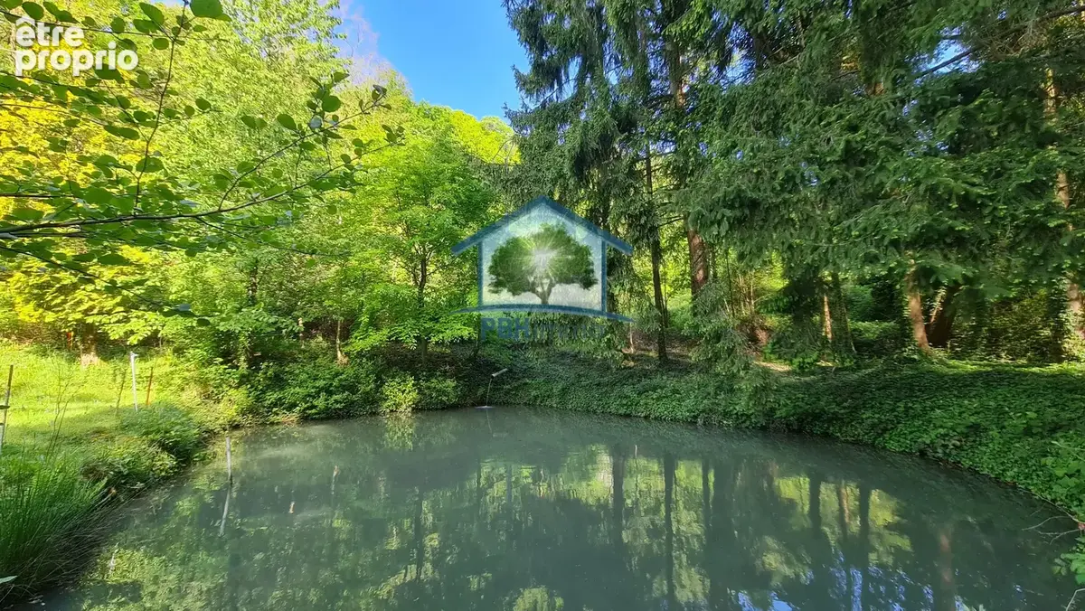 Photo Commerce à Goersdorf au prix de 101 500€