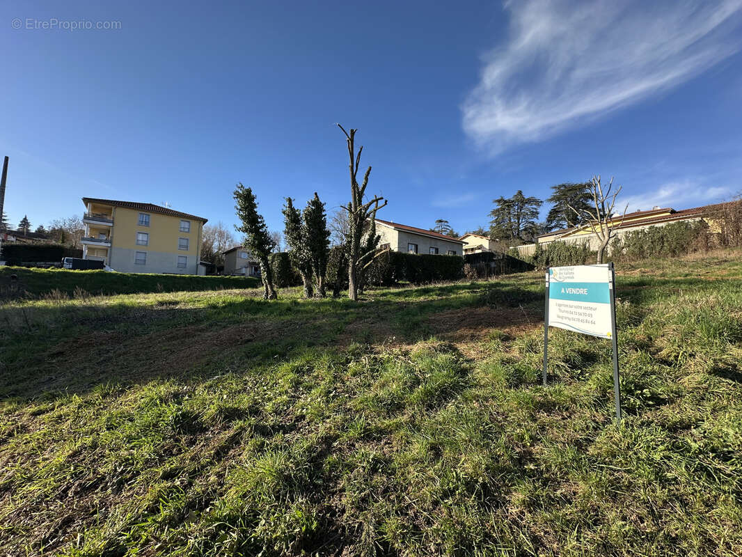 Terrain à THURINS