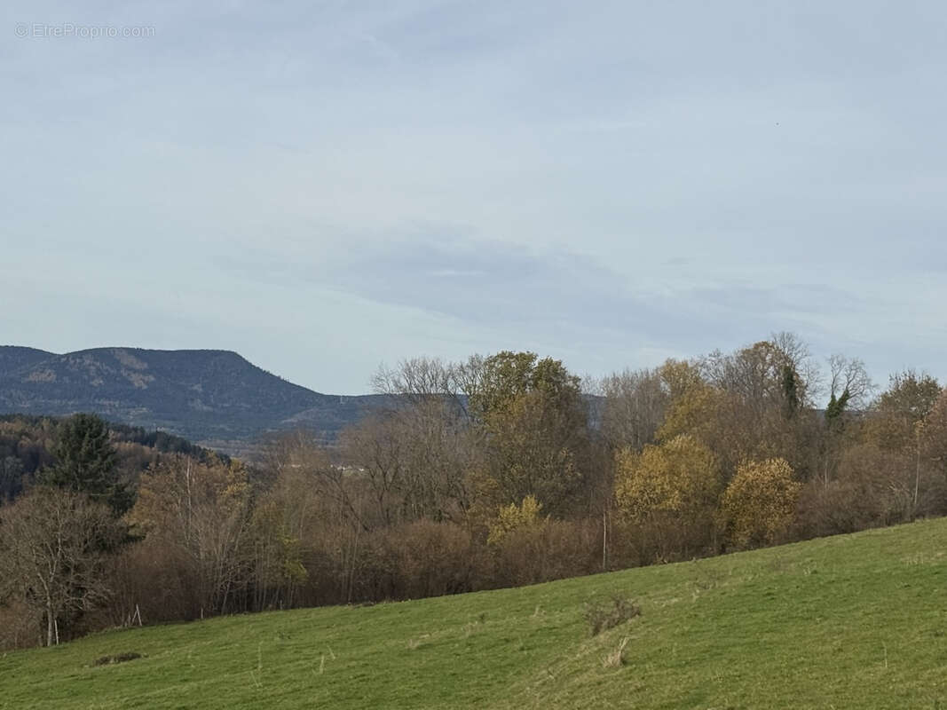 Maison à BAN-DE-LAVELINE