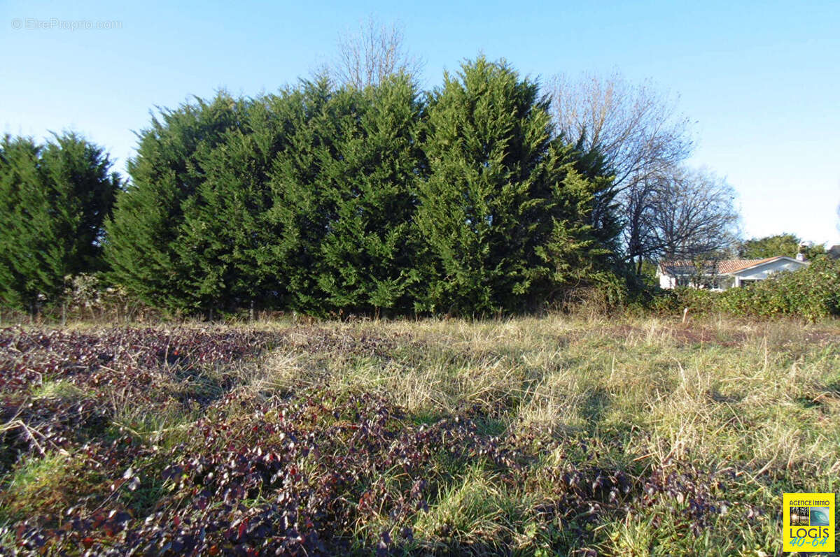 Terrain à OEYREGAVE