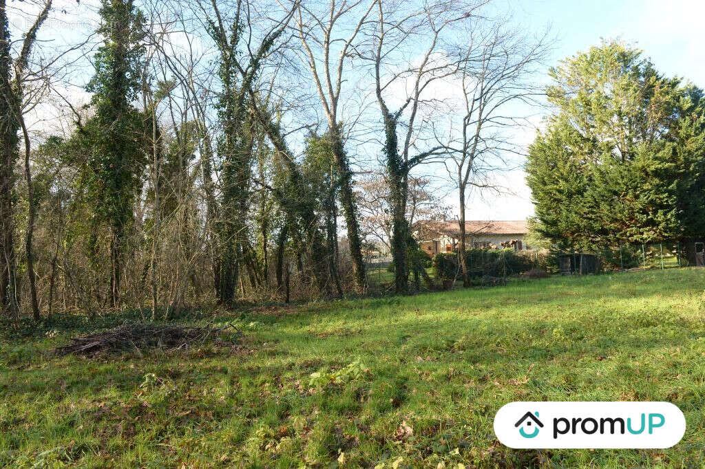 Terrain à SAUTERNES