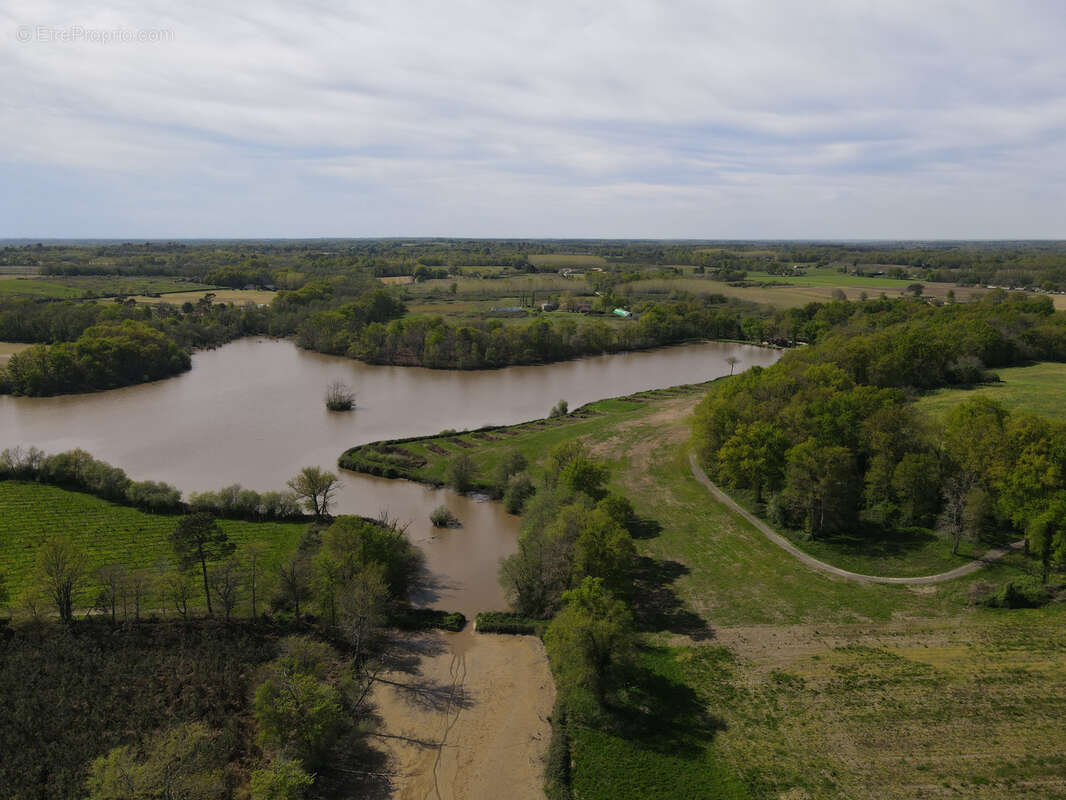 Landes   Propriété idéale pour pêche et chasse - photo 14