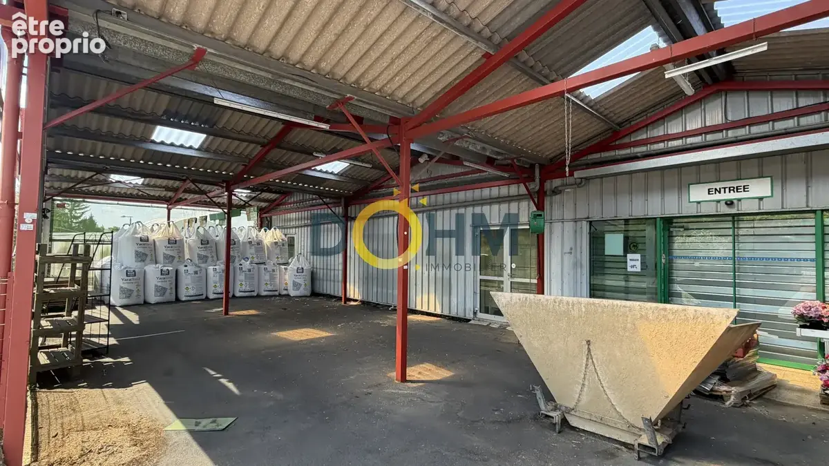 Ensemble immobilier professionnel, local commercial, dépôt, atelier, garage... - photo 14