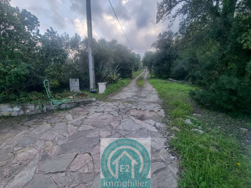 Grande propriété de 190m2 avec 19580m2 de terrain, à Santa Maria Poggio - photo 14