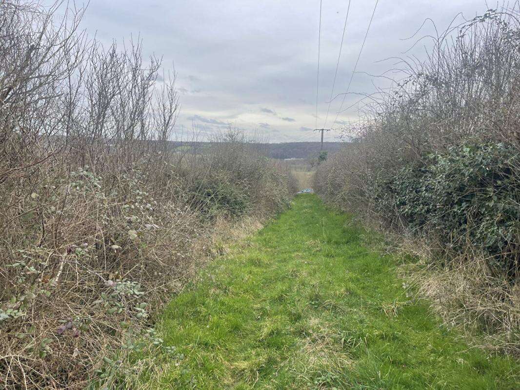 Terrain à CHATEAU-RENARD