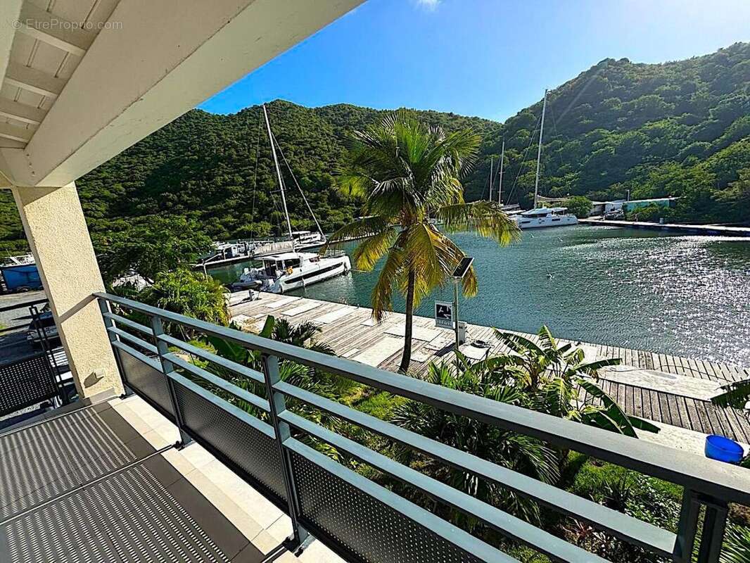 Photo 4 - Appartement à SAINT-MARTIN