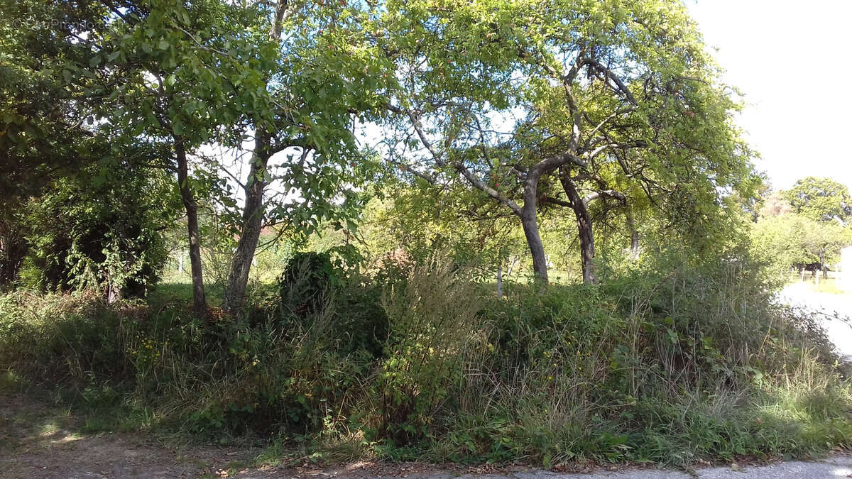 Terrain à JOUY-SUR-MORIN