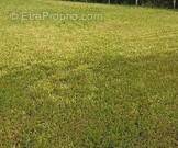 Terrain à PREFAILLES