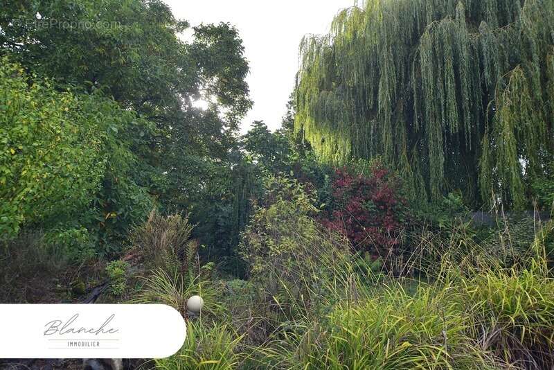 Terrain à CAPINGHEM