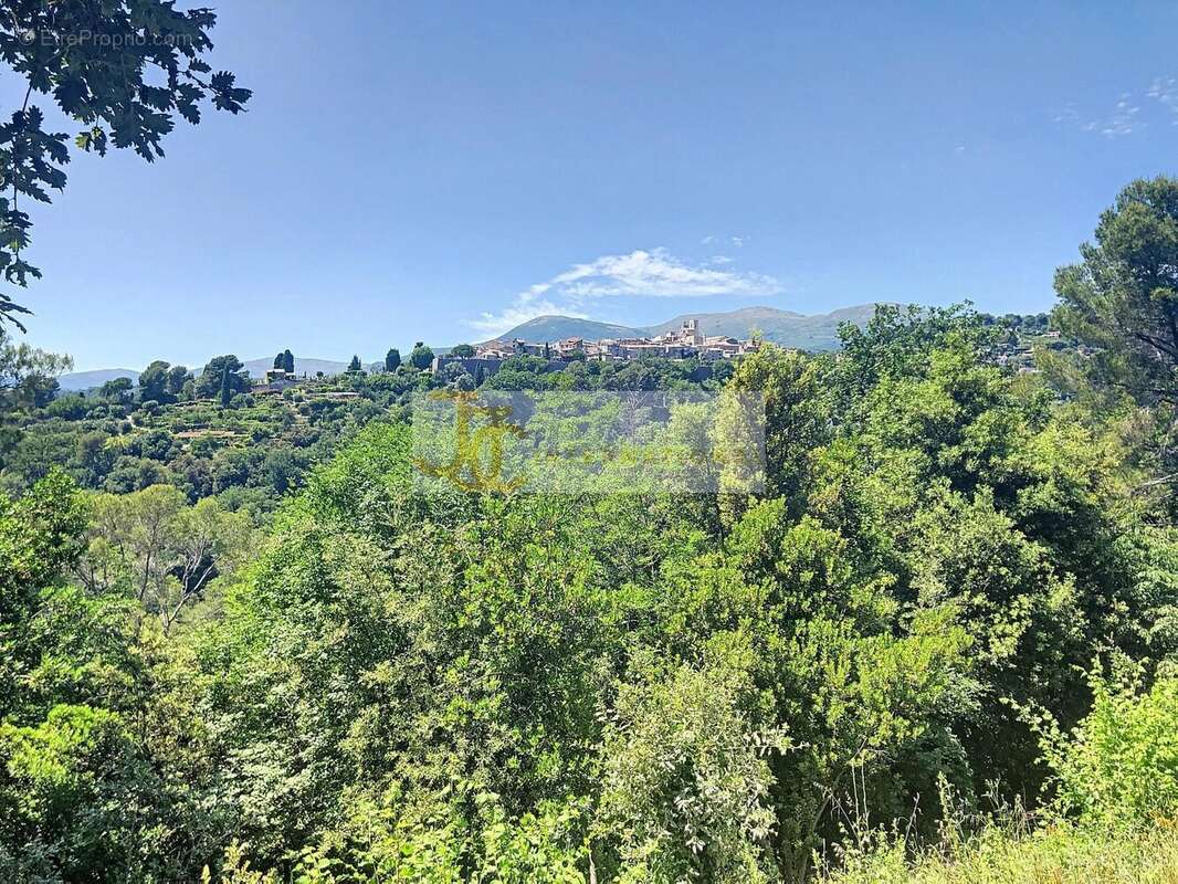 EXCLUSIVITÉ : Terrain d’Exception à Saint‑Paul‑de‑Vence (06) - photo 2