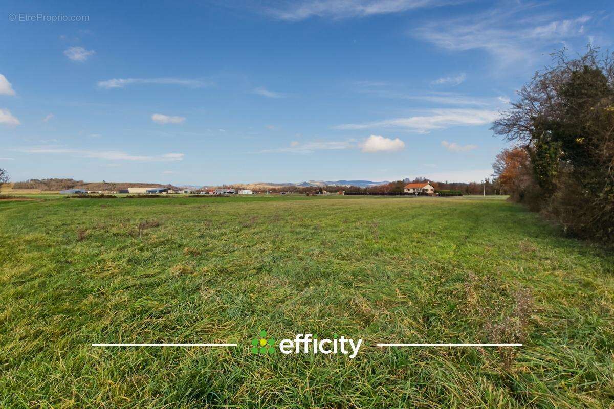 Terrain à SAINT-REMY-DE-CHARGNAT