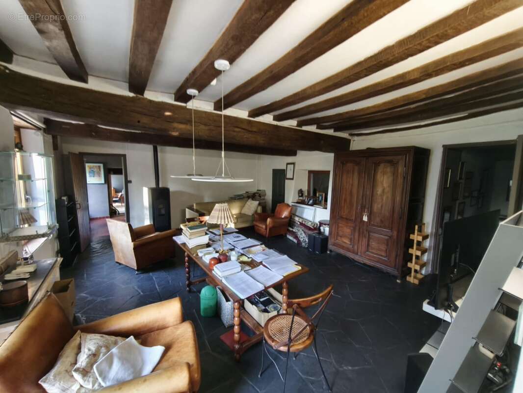 243 m² à Villefranche-Sur-Cher  - photo 113