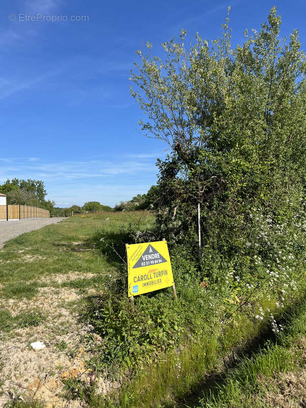 Terrain à LES SABLES-D'OLONNE