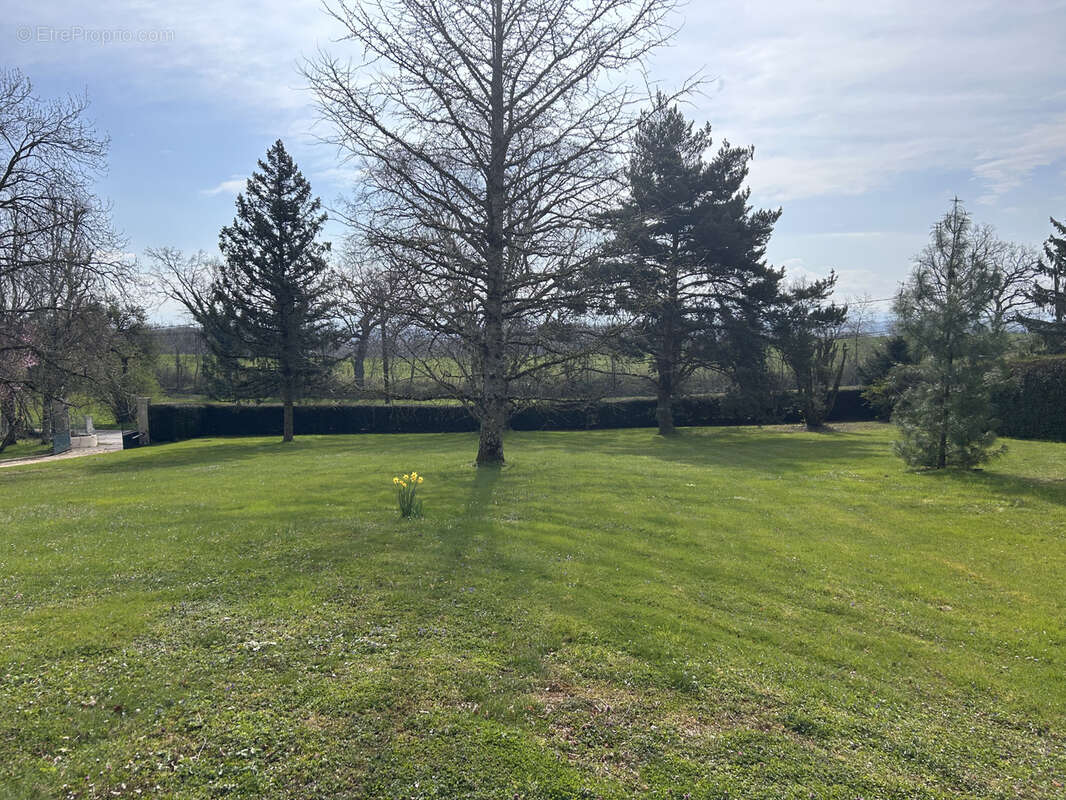 Terrain à DIVONNE-LES-BAINS
