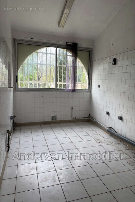 Commerce à ARGELES-SUR-MER