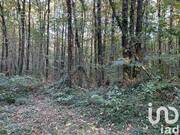 Photo 1 - Terrain à LES LUCS-SUR-BOULOGNE