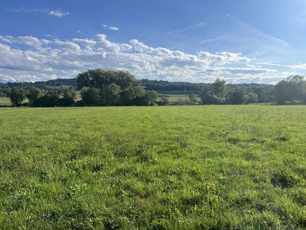 Terrain à LES ABRETS