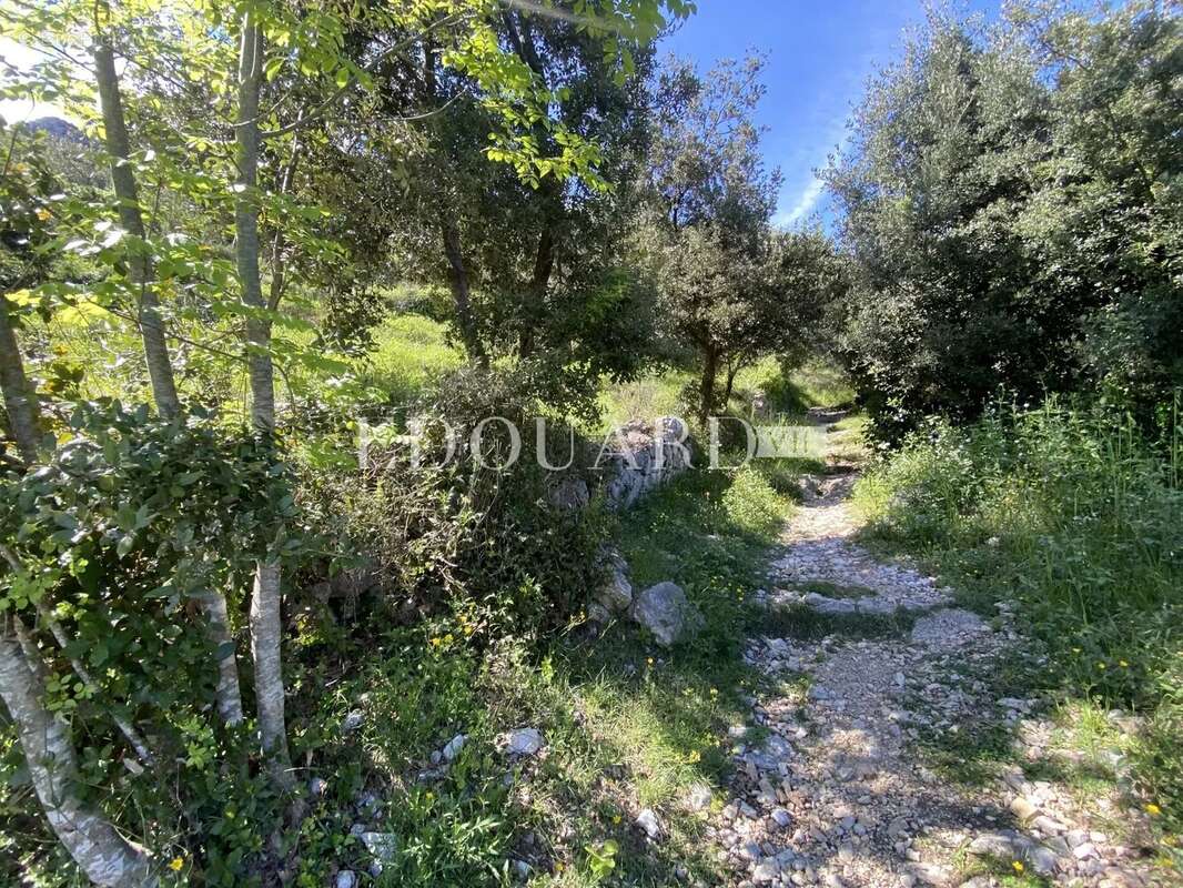 Terrain à SAINTE-AGNES