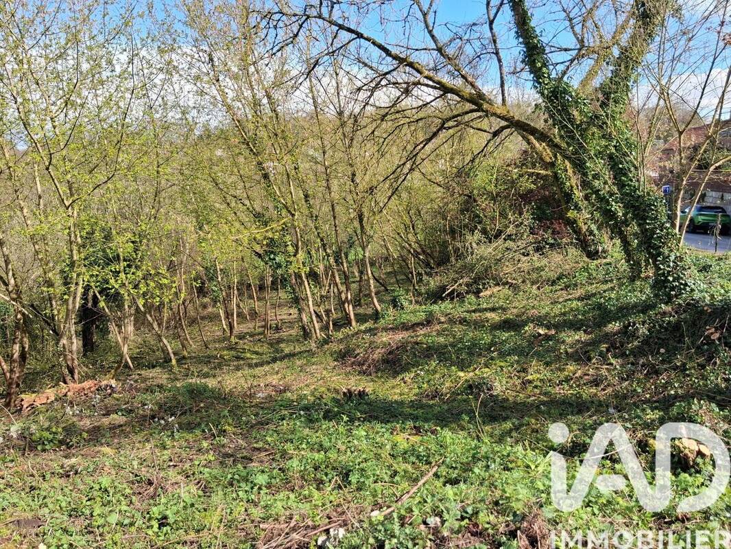 Photo 1 - Terrain à SAINT-GOBAIN