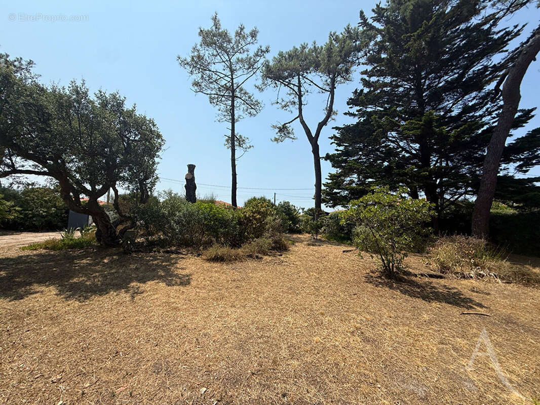 Terrain constructible à Vieux-Boucau, Opportunité rare ! - photo 2
