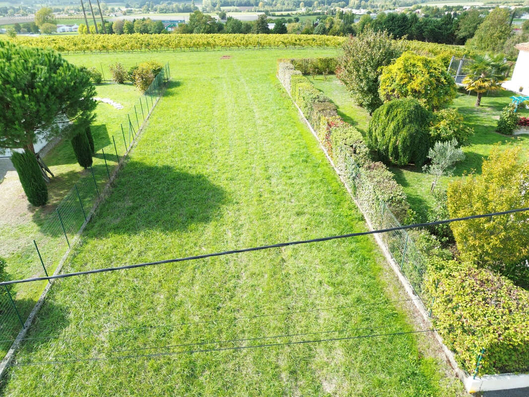 Terrain à BARBEZIEUX-SAINT-HILAIRE