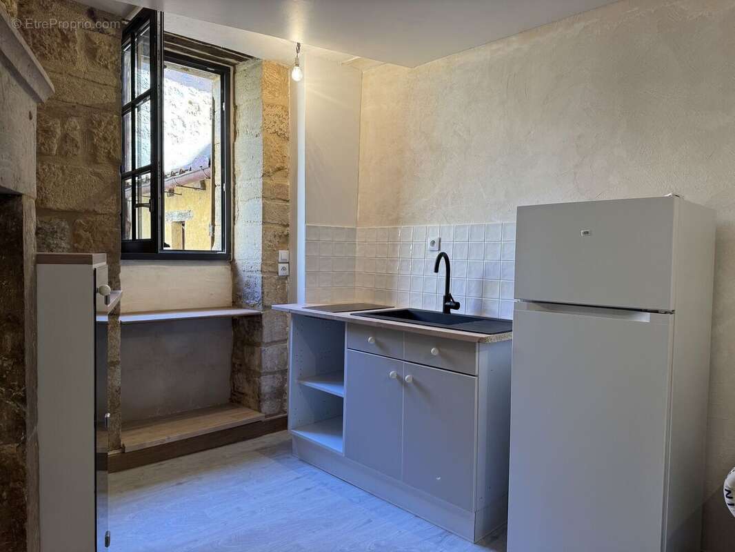 IMG1951 2 - Maison à SAINT-CYPRIEN