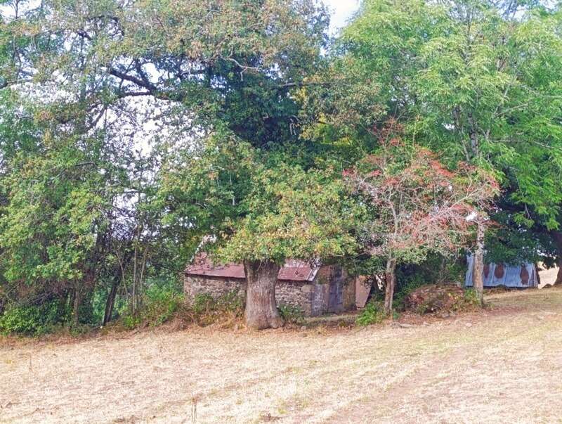 Maison à SAINT-MARTIN-VALMEROUX