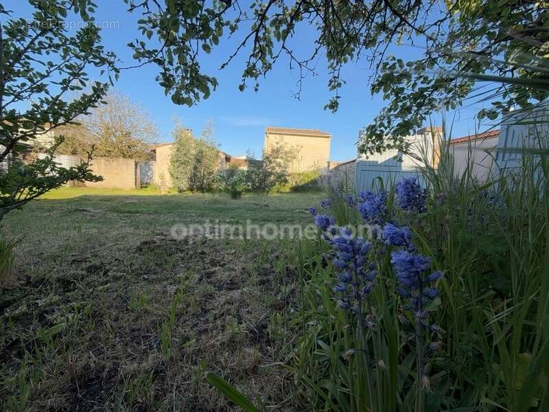 Maison à SAINTE-MARIE-DE-RE