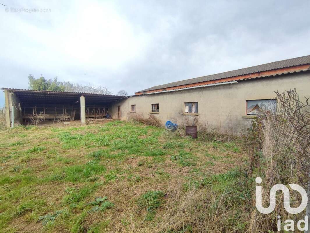 Photo 4 - Terrain à NEGREPELISSE