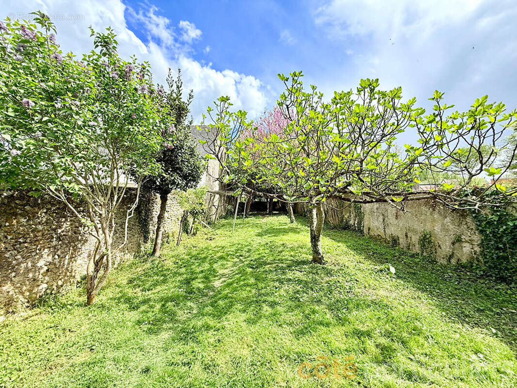 Maison Reugny 7 pièce(s) 195.55 m2 à 15 minutes d'Amboise - photo 16